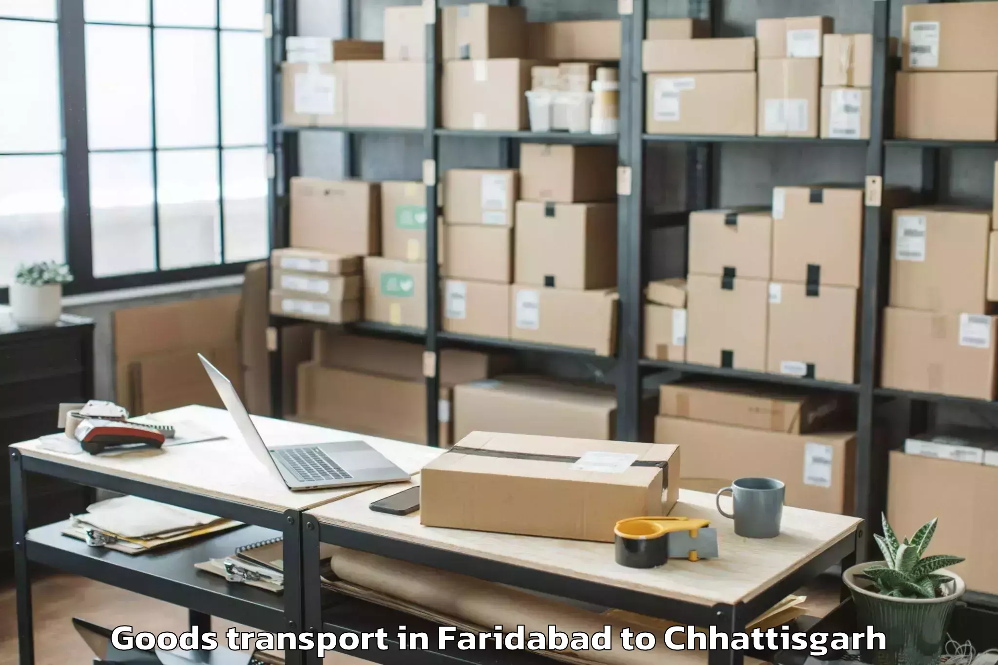 Professional Faridabad to Mungeli Goods Transport